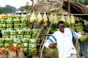 Tanzania onderweg